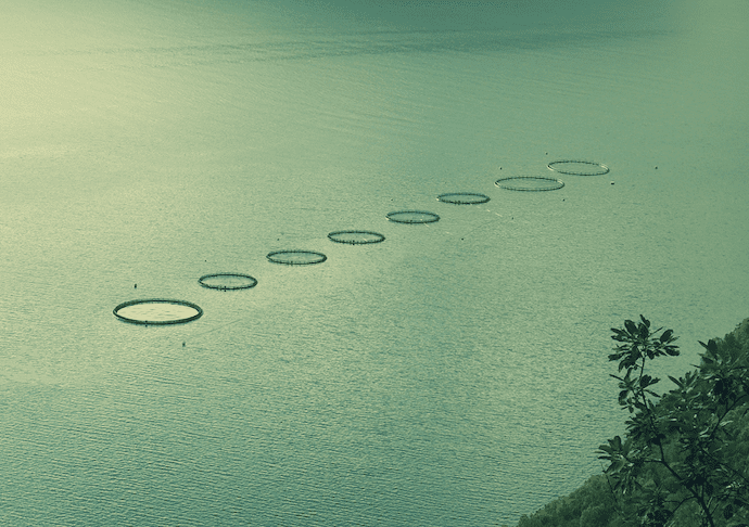 Screen Shot 2024-07-09 at 3.57.34 PM