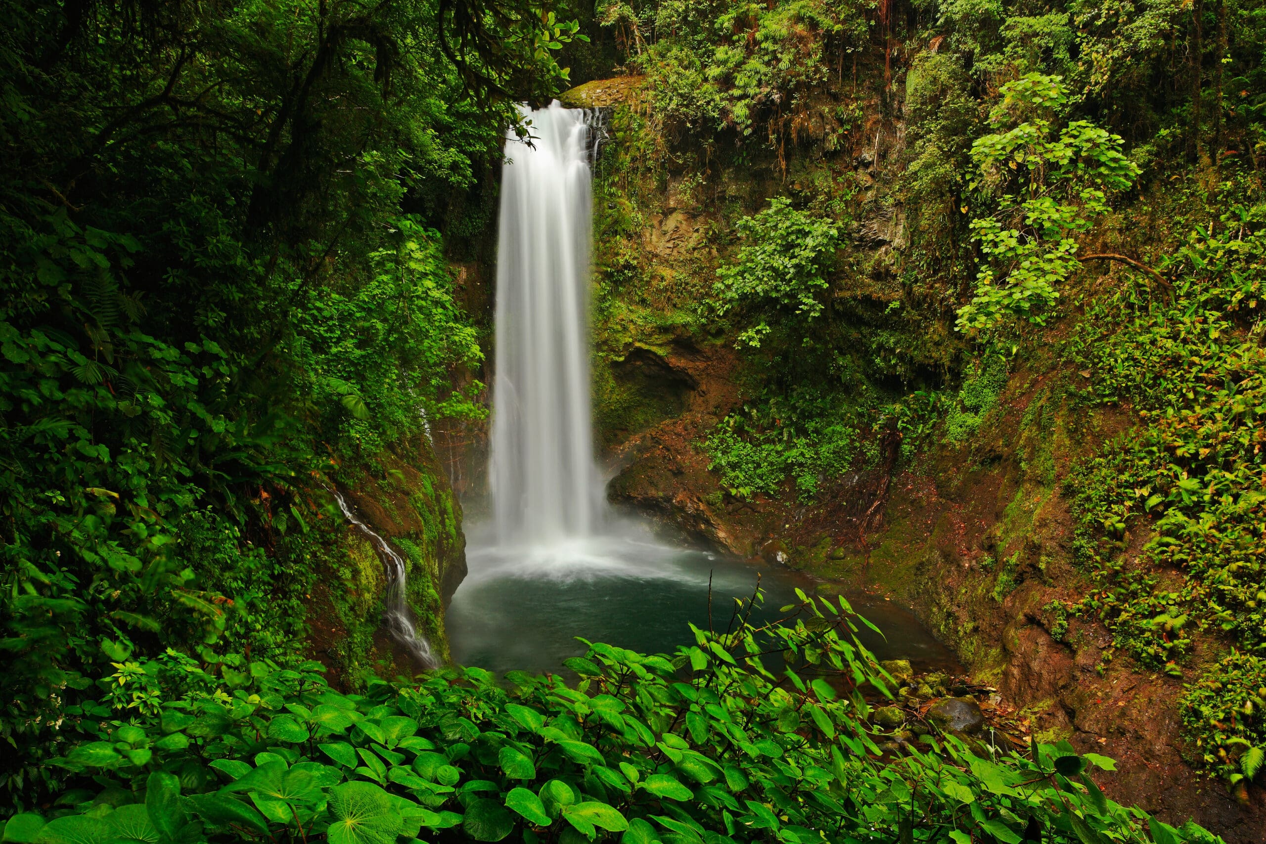 La Paz Waterfall gardens, with green tropical forest, Central Valley, Costa RIca