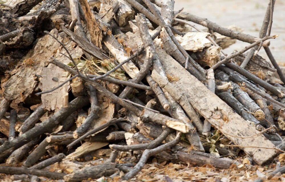 A Stockpile of Sawed Wood Ready to Use as Firewood for Winter He