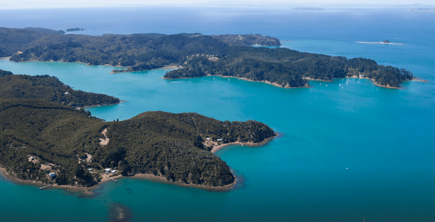Screen Shot 2024-11-13 at 2.09.53 PM Image of Kawau Island