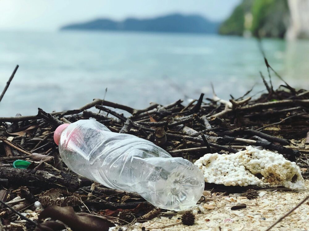 pexels-catherinesheila-2409022 picture of a discarded plastic bottle by the ocean