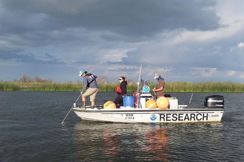 salmon-researchers-Sacramento-delta-SWFSC-FED NOAA salmon researchers