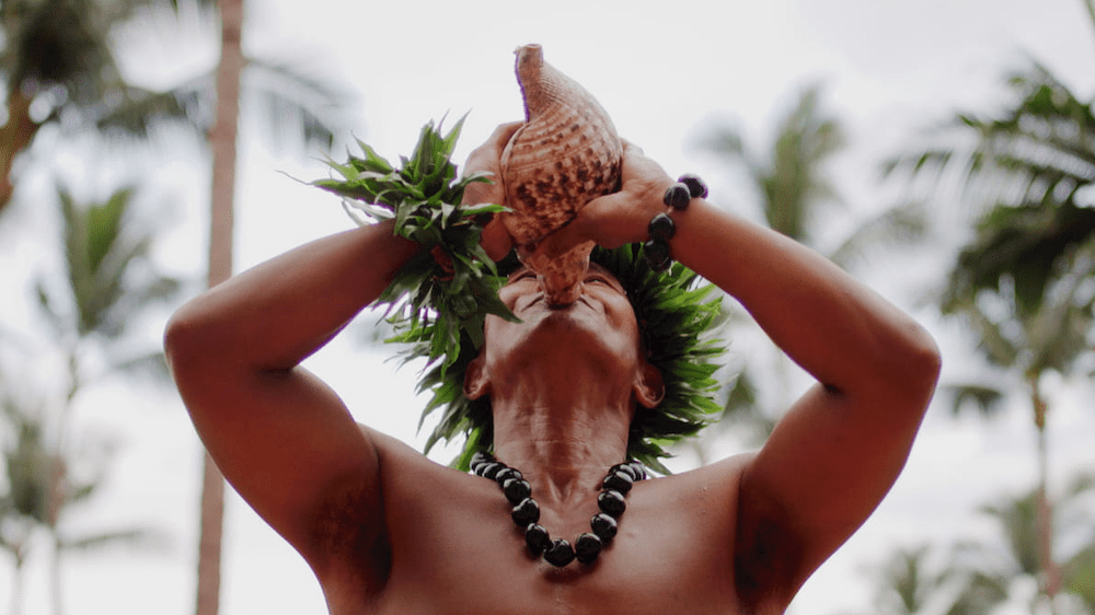 Image from Four Seasons Lanai