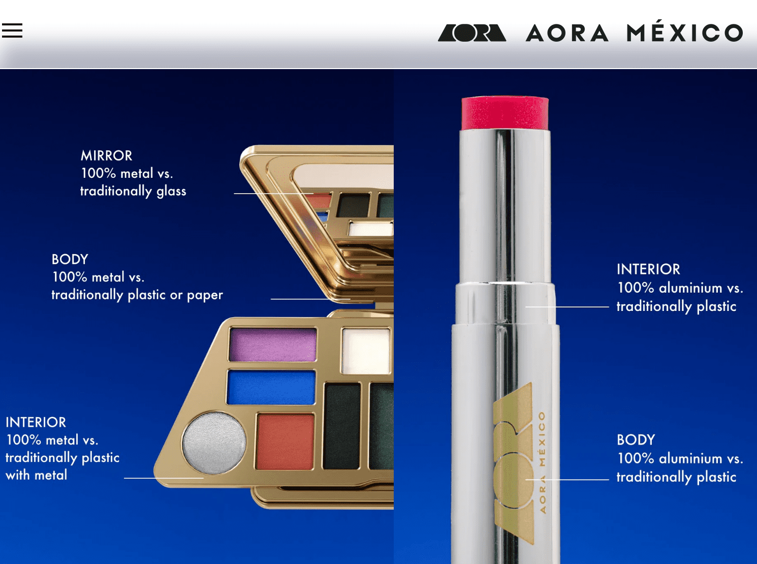 Screen Shot 2025-01-30 at 45724 PM AORA Mexico