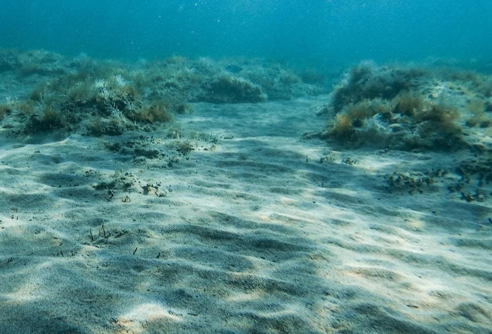 pexels-davidboca-5466505 1 2 Seabed