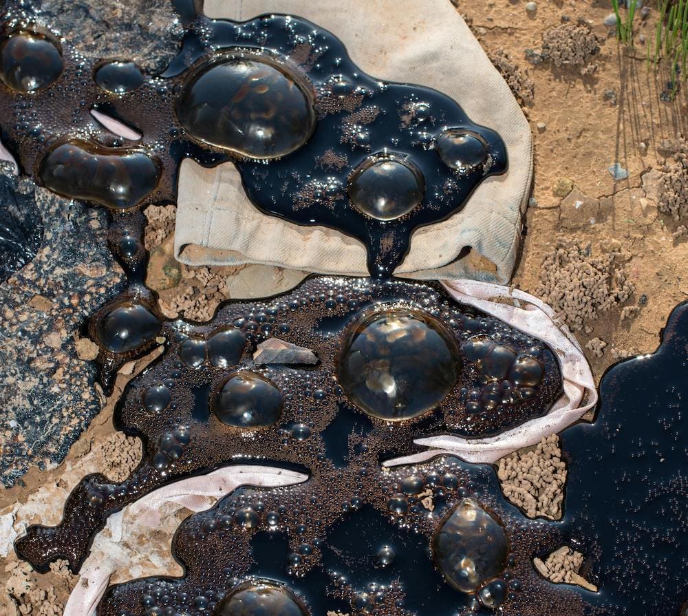 pexels-victormoragriega-29538821 2 oil spill