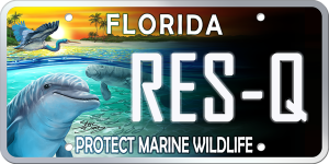 Florida License Plate