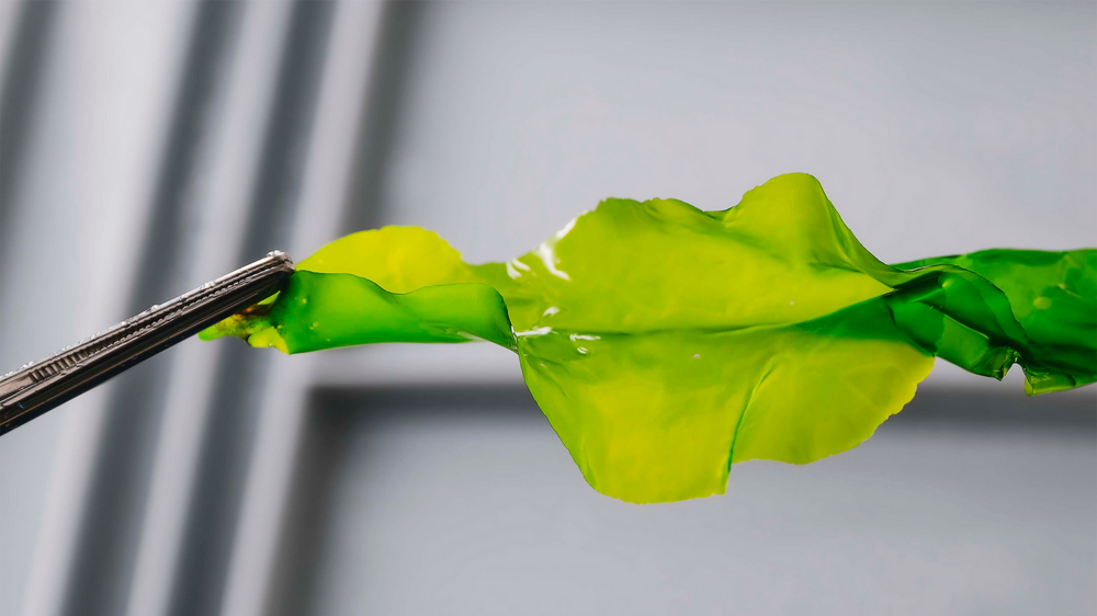 Manatee Biomaterials