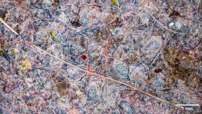 CLEANR Pod w/ Captured Microplastic Fiber