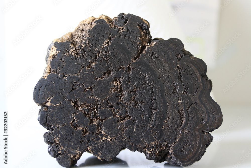 Polymetallic nodule