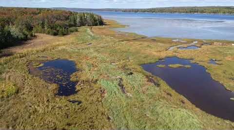 Salt Marsh Salt Marsh