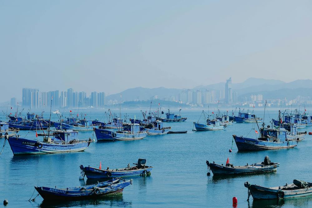 pexels-lee-starry-1667861-17538313 2 Weihai