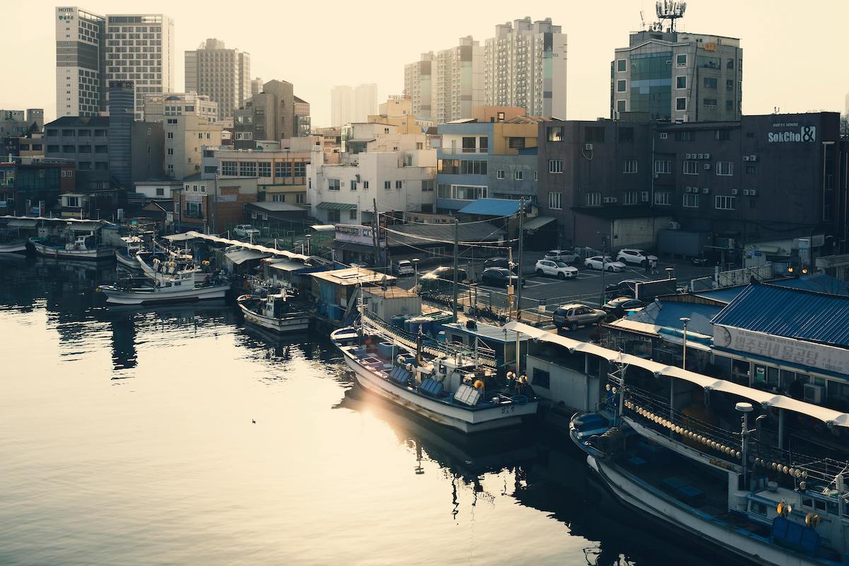 pexels-nui-malama-169330637-30923385 (1) Sokcho South Korea 정규송 Nui MALAMA