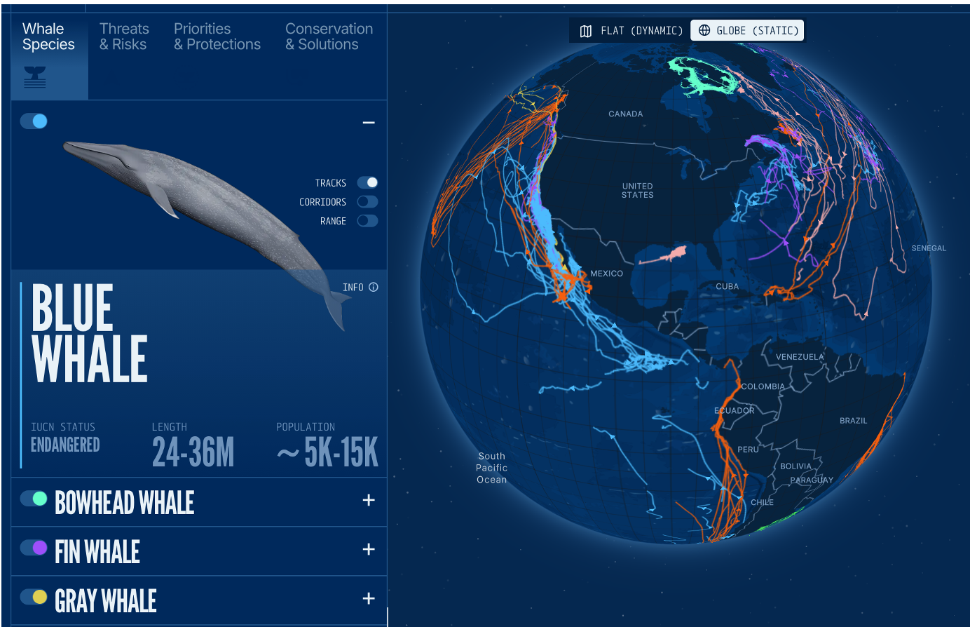 Screen Shot 2025-06-06 at 5.01.25 PM blue corridors