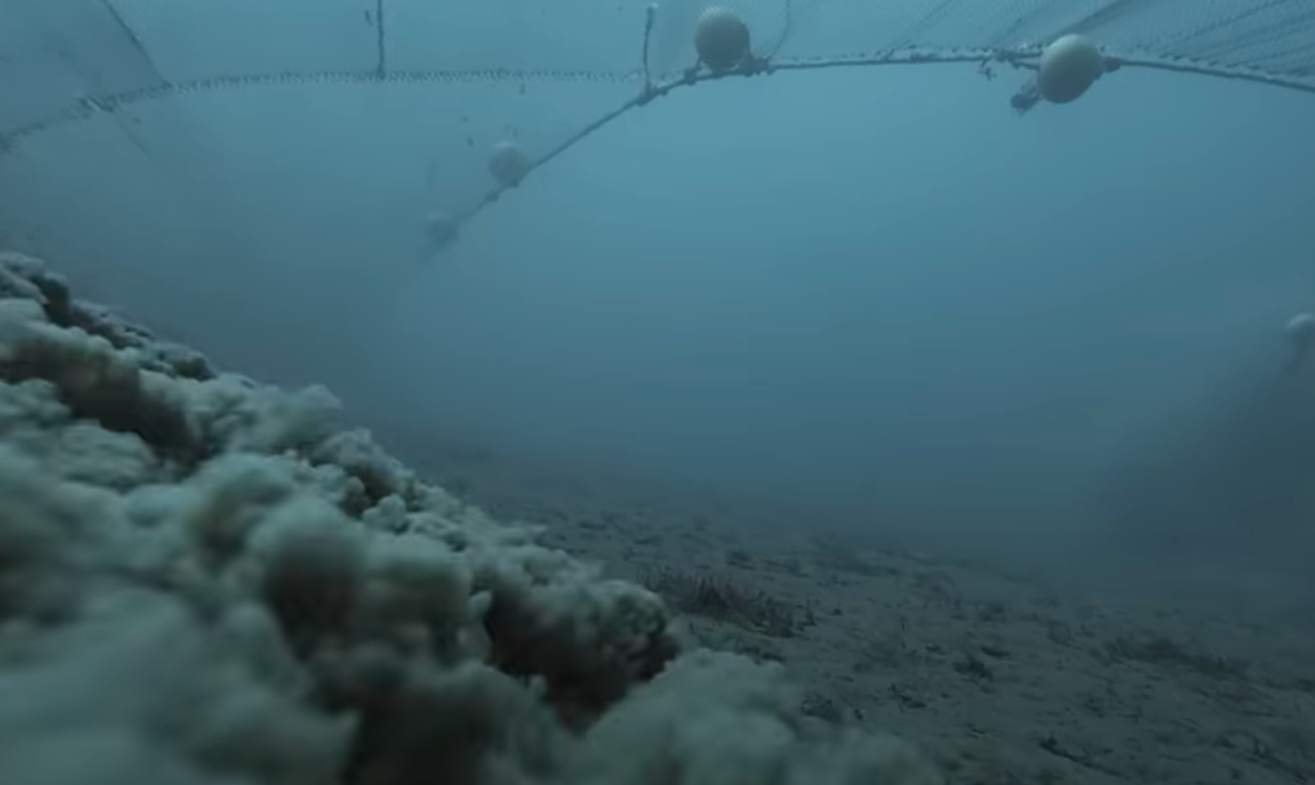 Bottom trawling image from David Attenborough Oceans