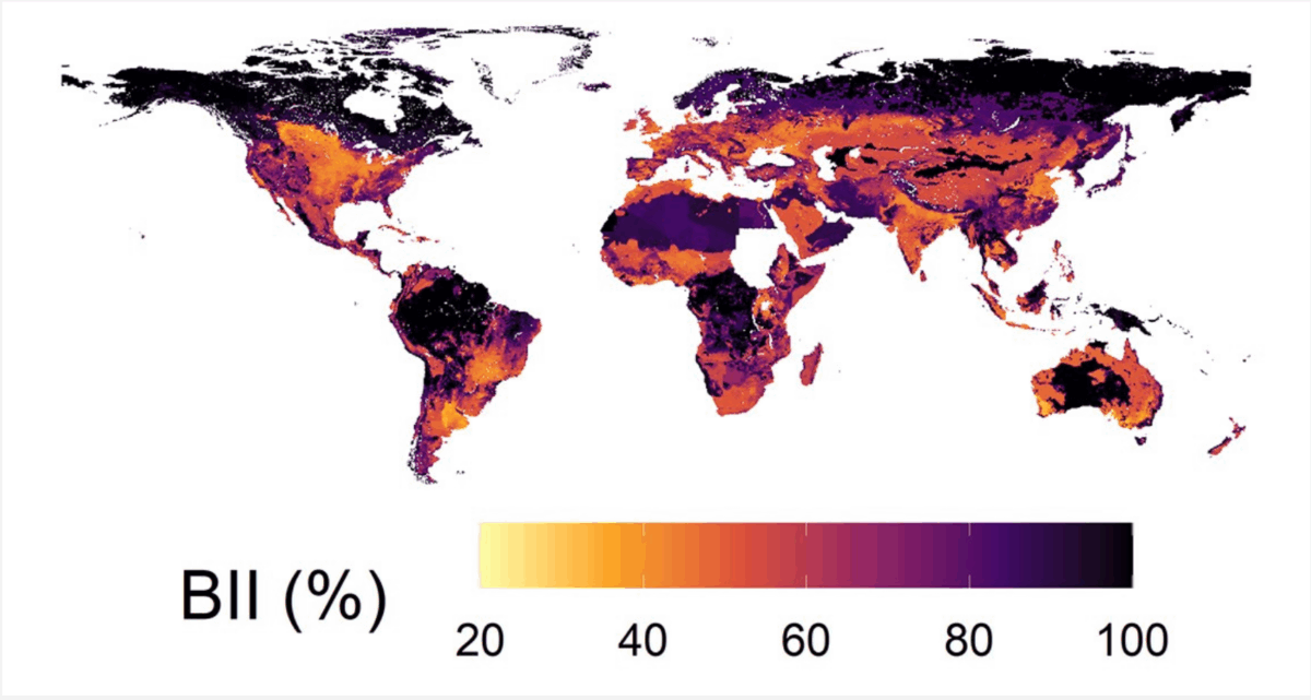 Screen Shot 2025-07-04 at 10.53.06 AM Natural History Museum Biodiversity Intactness