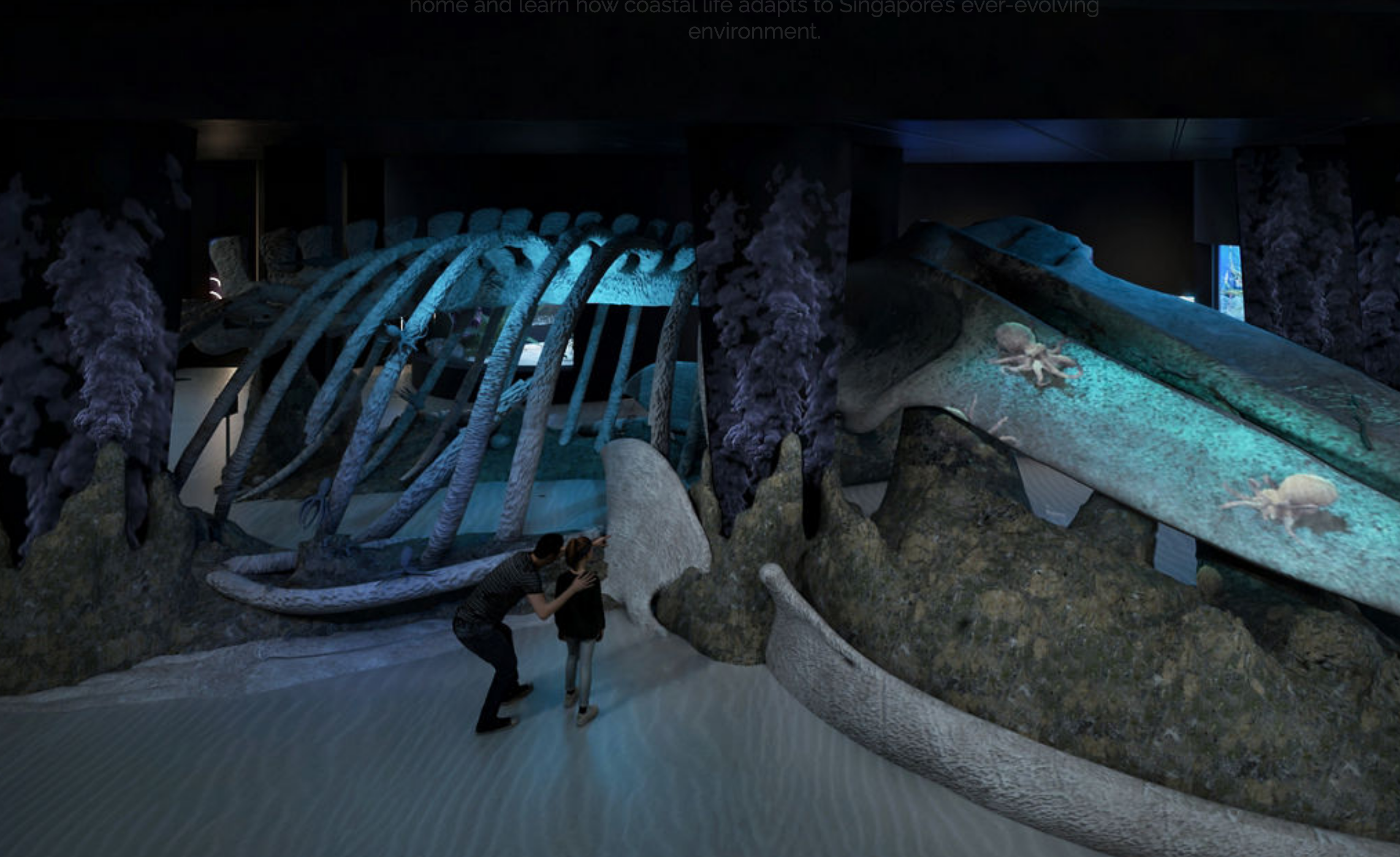 Screen Shot 2025-07-08 at 9.16.55 AM Singapore Oceanarium