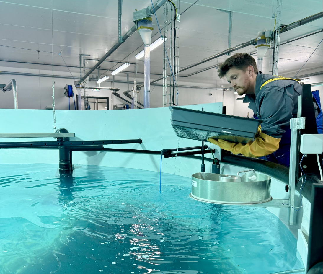 Screen Shot 2025-07-09 at 9.48.21 AM Laxey Salmon farm