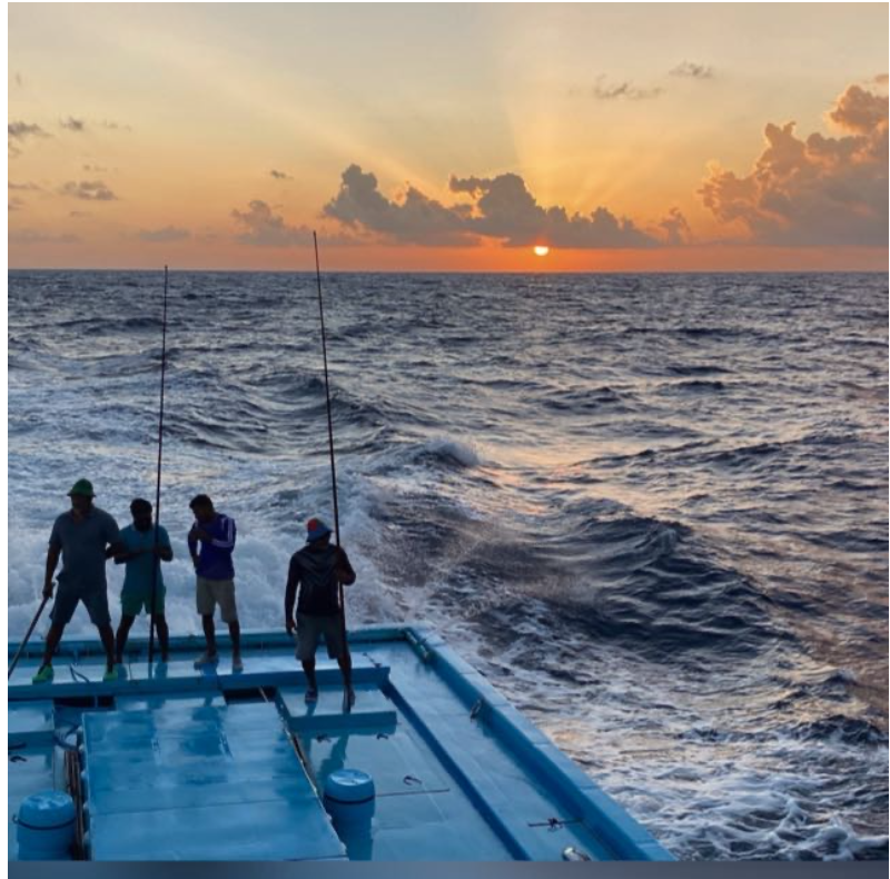 Screen Shot 2025-07-28 at 3.28.19 PM