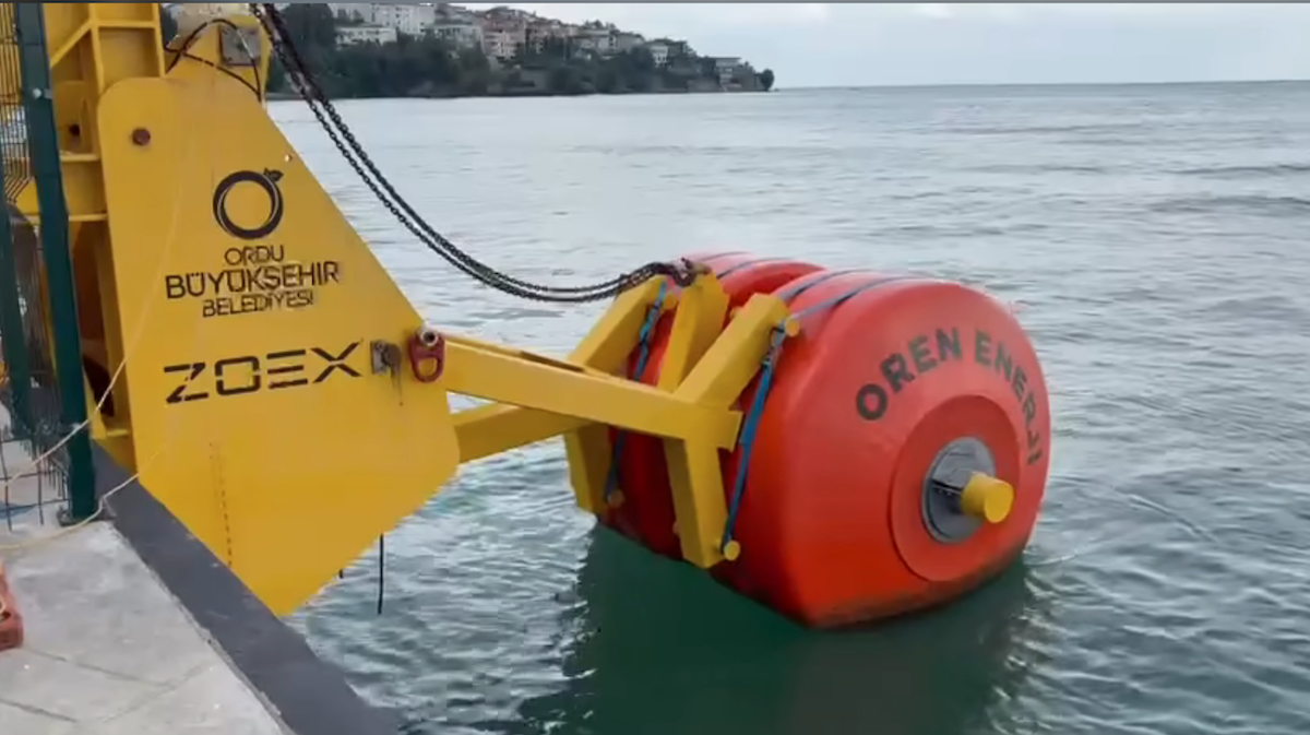 Screen Shot 2025-08-27 at 9.55.58 AM ZOEX wave