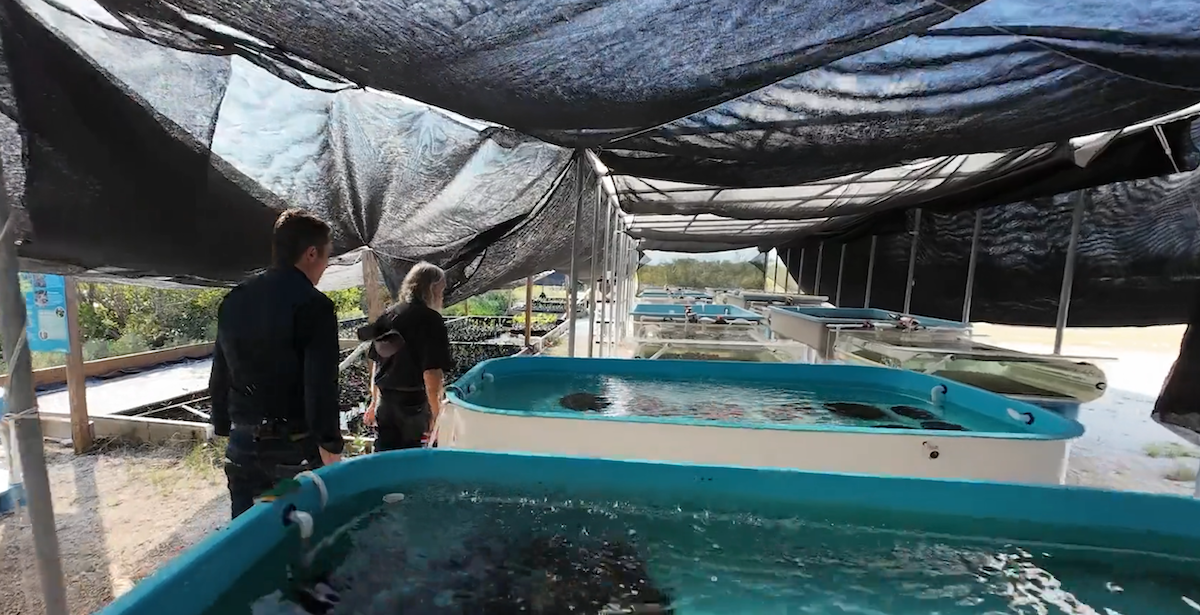 Screen Shot 2025-10-15 at 34150 PM AltaSea and Voyancy Regen