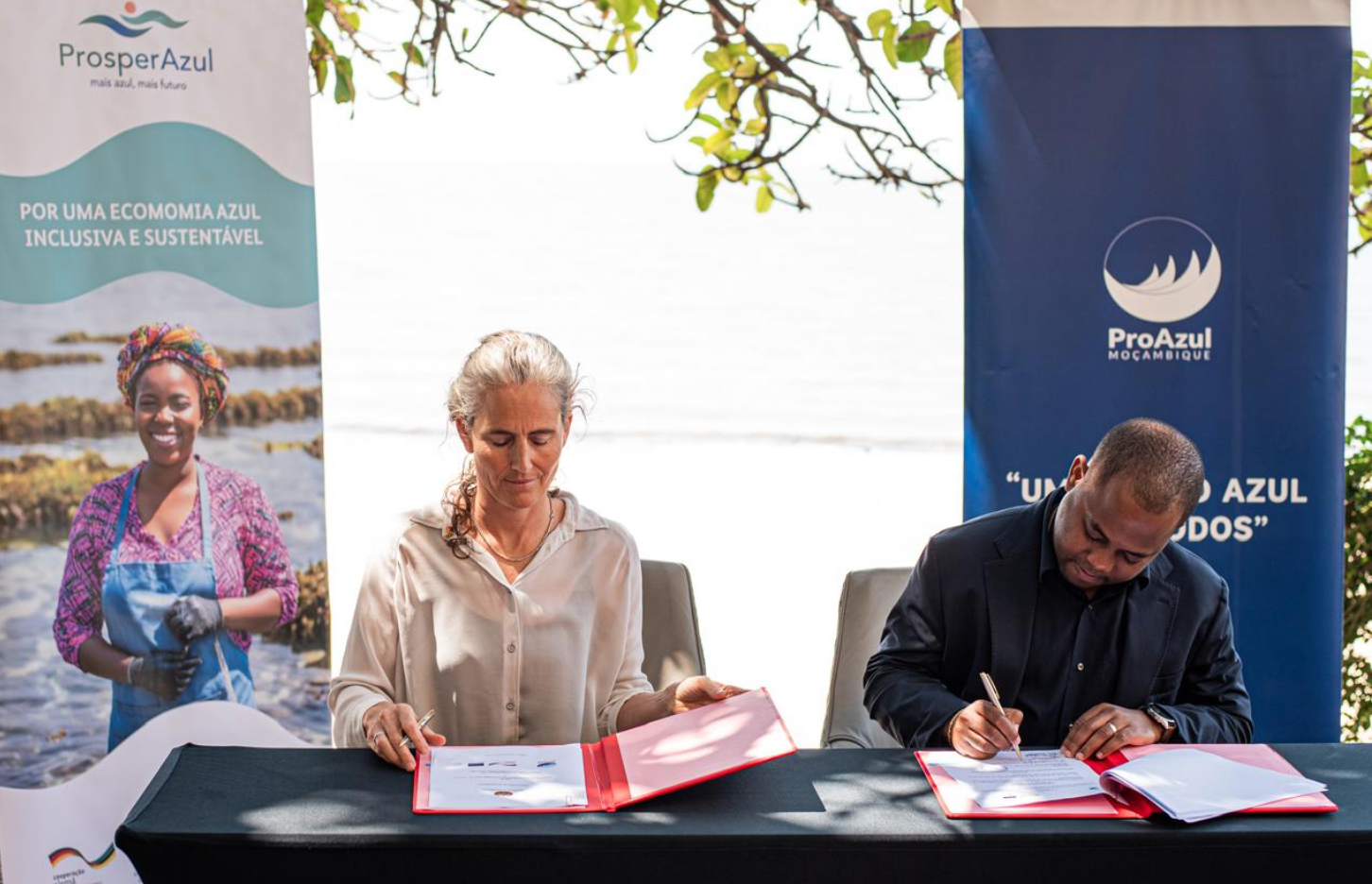 Screen Shot 2025-10-16 at 115333 AM ProAzul, GIZ, Mozambique