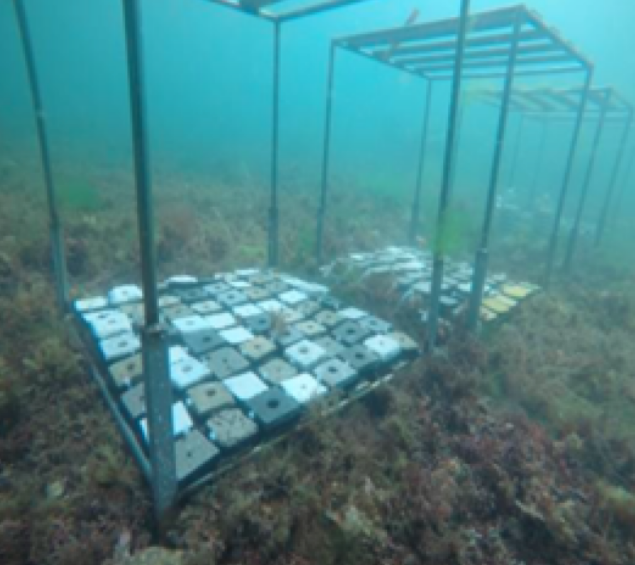 Screen Shot 2025-10-24 at 33426 PM 2 SeaCrete