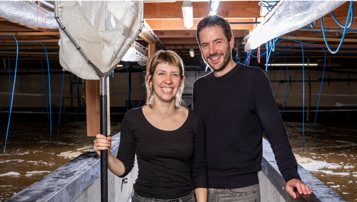 Screen Shot 2025-10-24 at 43058 PM 2 Lisaqua shrimp farm