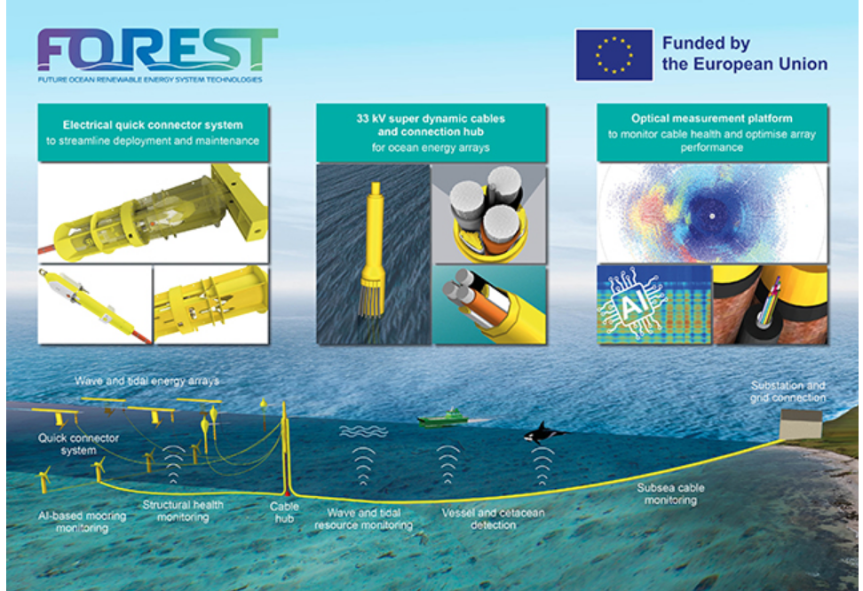 Screen Shot 2025-11-05 at 44302 PM FOREST project EU Horizon