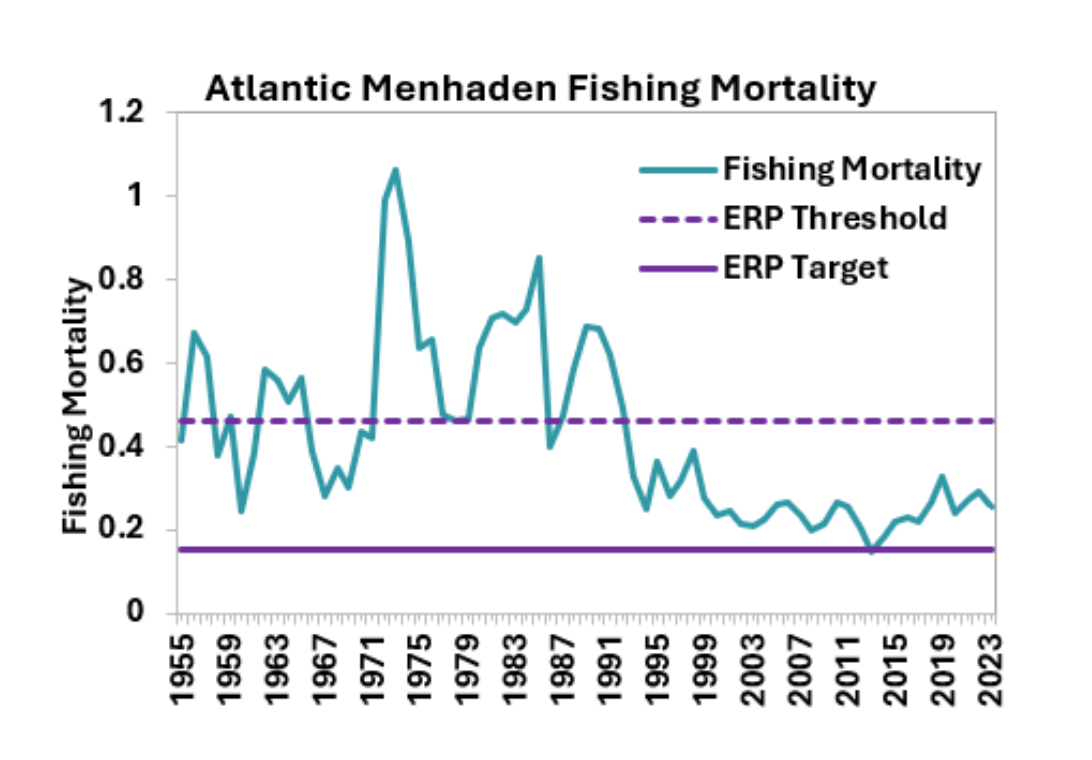 Atlantic Menhaden management data