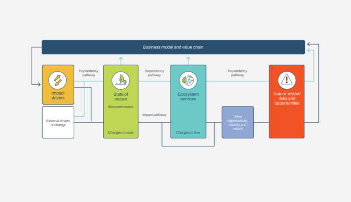 Screen Shot 2025-11-10 at 114247 AM LEAP system TNFD