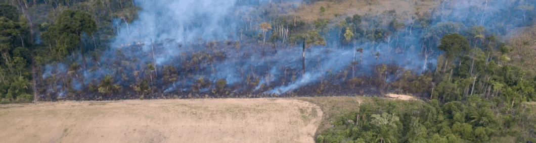 Screen Shot 2025-11-12 at 22037 PM open letter to curb biofuel production