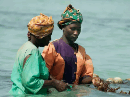 WWF Indigenous marine protection
