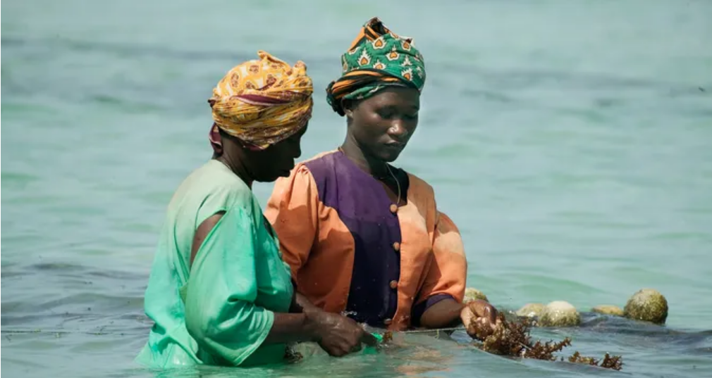 WWF Indigenous marine protection